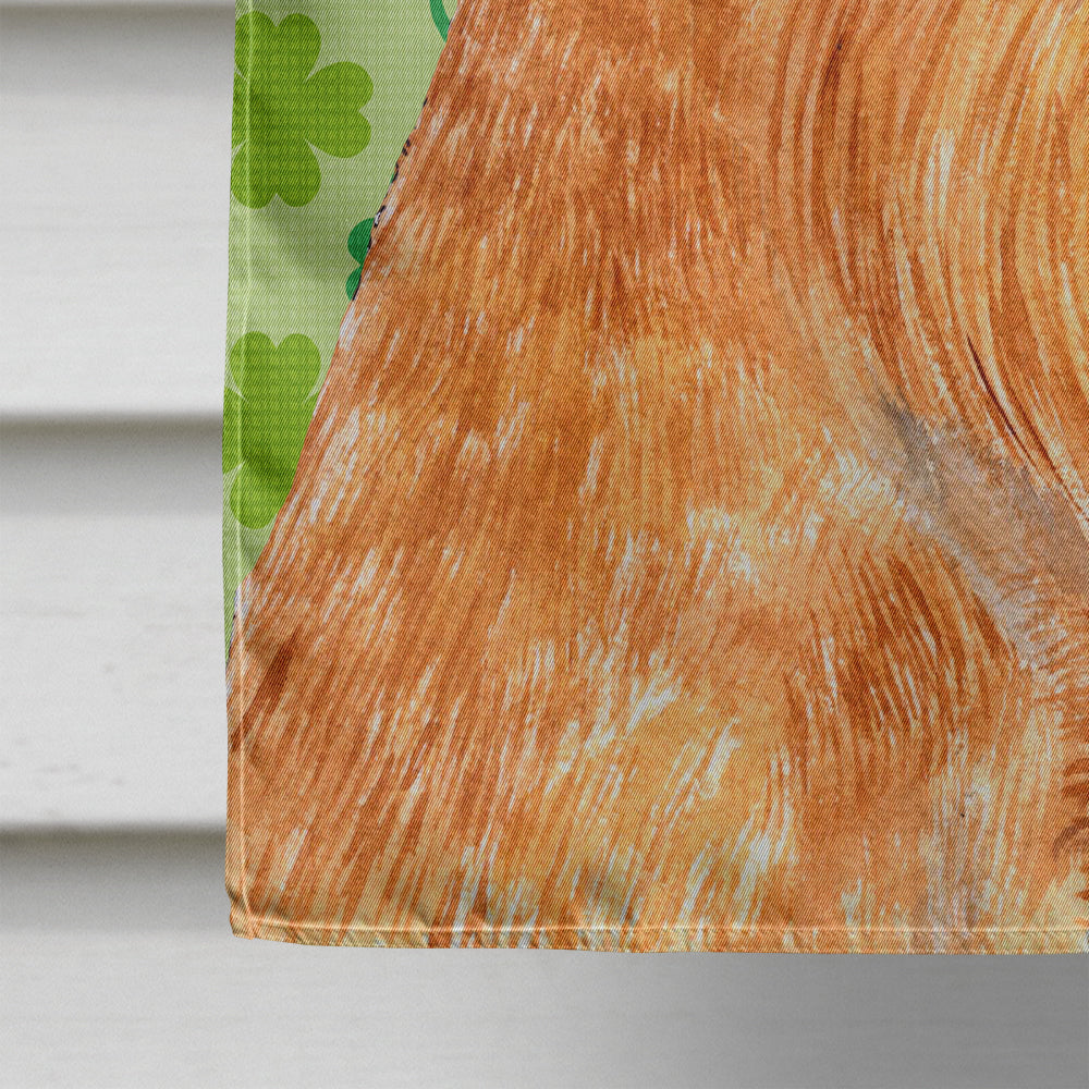 Brussels Griffon St. Patrick's Day Shamrock Portrait House Flag 28x40 Porch Sleeve Pole Decorative Outside Yard Banner Artwork Wall Hanging, Polyester