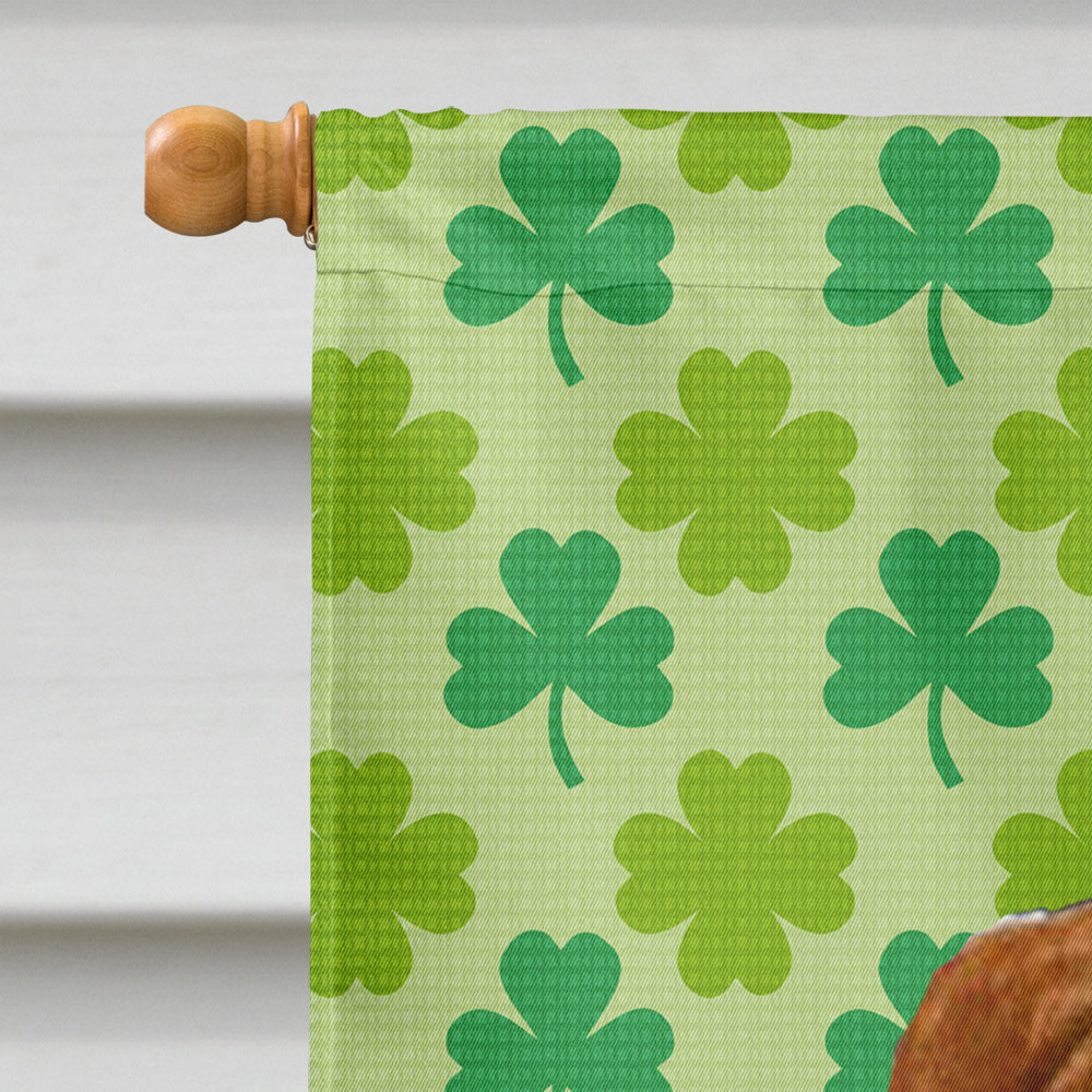 Sussex Spaniel St. Patrick's Day Shamrock Portrait House Flag 28x40 Porch Sleeve Pole Decorative Outside Yard Banner Artwork Wall Hanging, Polyester