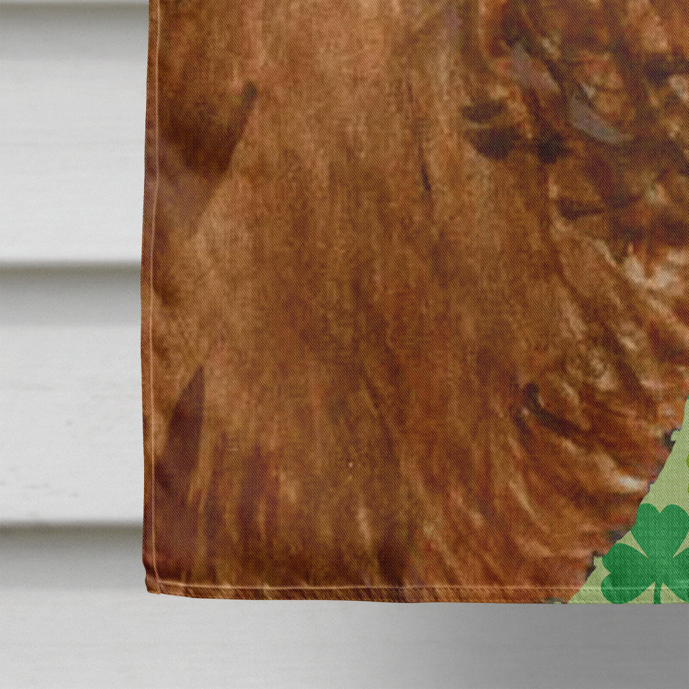 Sussex Spaniel St. Patrick's Day Shamrock Portrait House Flag 28x40 Porch Sleeve Pole Decorative Outside Yard Banner Artwork Wall Hanging, Polyester
