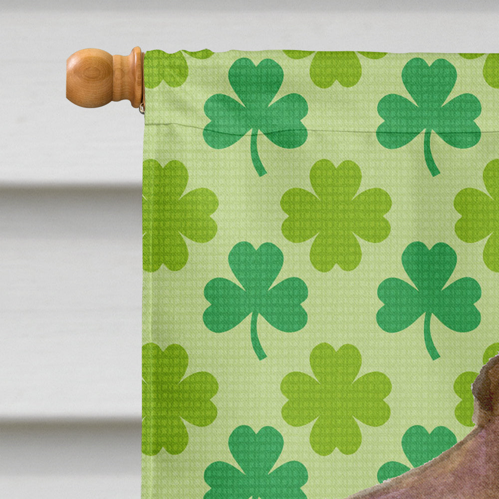 Field Spaniel St. Patrick's Day Shamrock Portrait House Flag 28x40 Porch Sleeve Pole Decorative Outside Yard Banner Artwork Wall Hanging, Polyester