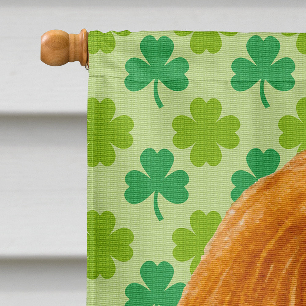 Cavalier Spaniel St. Patrick's Day Shamrock Portrait House Flag 28x40 Porch Sleeve Pole Decorative Outside Yard Banner Artwork Wall Hanging, Polyester
