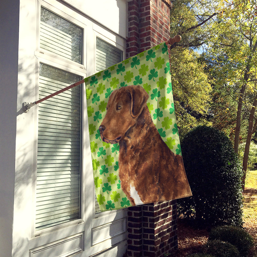 Chesapeake Bay Retriever St. Patrick's Day Shamrock Portrait House Flag 28x40 Porch Sleeve Pole Decorative Outside Yard Banner Artwork Wall Hanging, Polyester