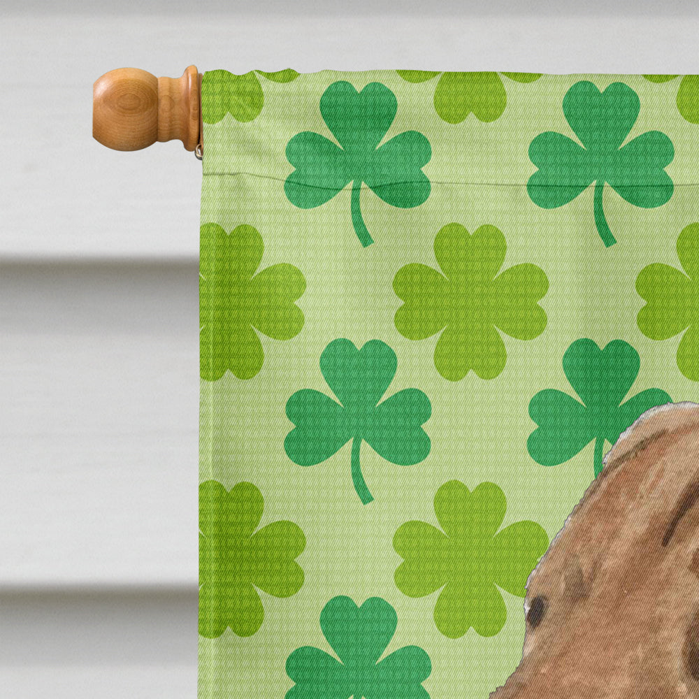 Chesapeake Bay Retriever St. Patrick's Day Shamrock Portrait House Flag 28x40 Porch Sleeve Pole Decorative Outside Yard Banner Artwork Wall Hanging, Polyester