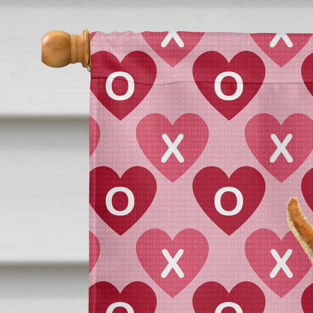 Min Pin Hearts Love and Valentine's Day Portrait House Flag 28x40 Porch Sleeve Pole Decorative Outside Yard Banner Artwork Wall Hanging, Polyester