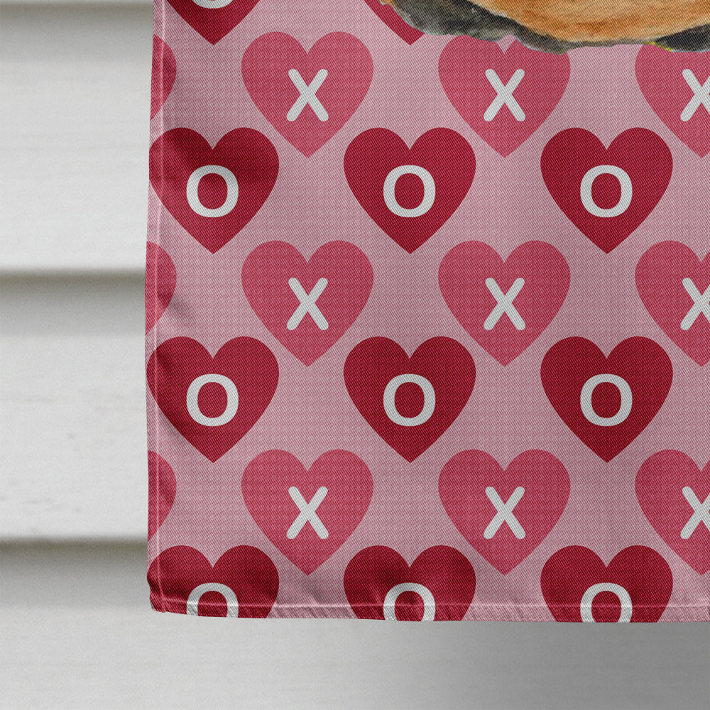 Doberman Hearts Love and Valentine's Day Portrait House Flag 28x40 Porch Sleeve Pole Decorative Outside Yard Banner Artwork Wall Hanging, Polyester