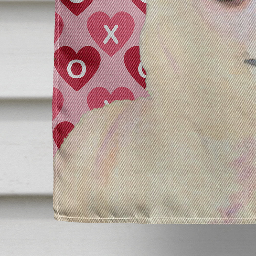 Chihuahua Hearts Love and Valentine's Day Portrait House Flag 28x40 Porch Sleeve Pole Decorative Outside Yard Banner Artwork Wall Hanging, Polyester