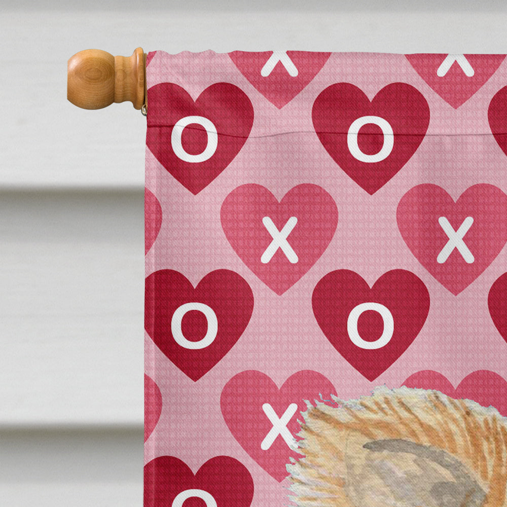 Chihuahua Hearts Love and Valentine's Day Portrait House Flag 28x40 Porch Sleeve Pole Decorative Outside Yard Banner Artwork Wall Hanging, Polyester