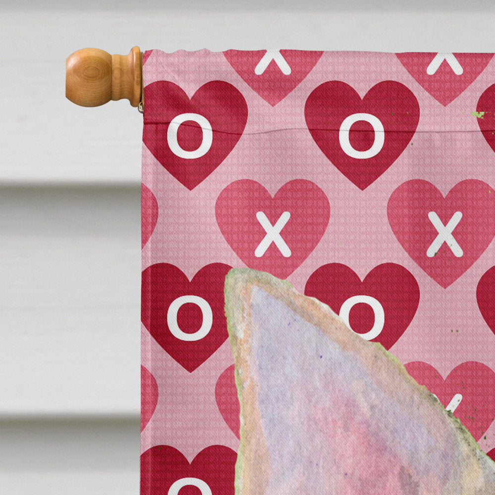 Chihuahua Hearts Love and Valentine's Day Portrait House Flag 28x40 Porch Sleeve Pole Decorative Outside Yard Banner Artwork Wall Hanging, Polyester