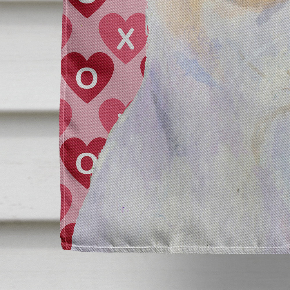 Chihuahua Hearts Love and Valentine's Day Portrait House Flag 28x40 Porch Sleeve Pole Decorative Outside Yard Banner Artwork Wall Hanging, Polyester