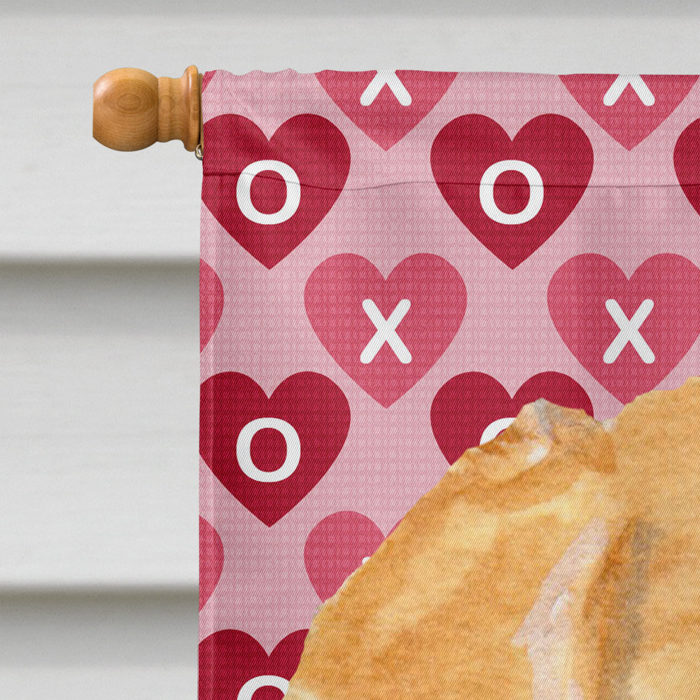 Golden Retriever Hearts Love Valentine's Day House Flag 28x40 Porch Sleeve Pole Decorative Outside Yard Banner Artwork Wall Hanging, Polyester