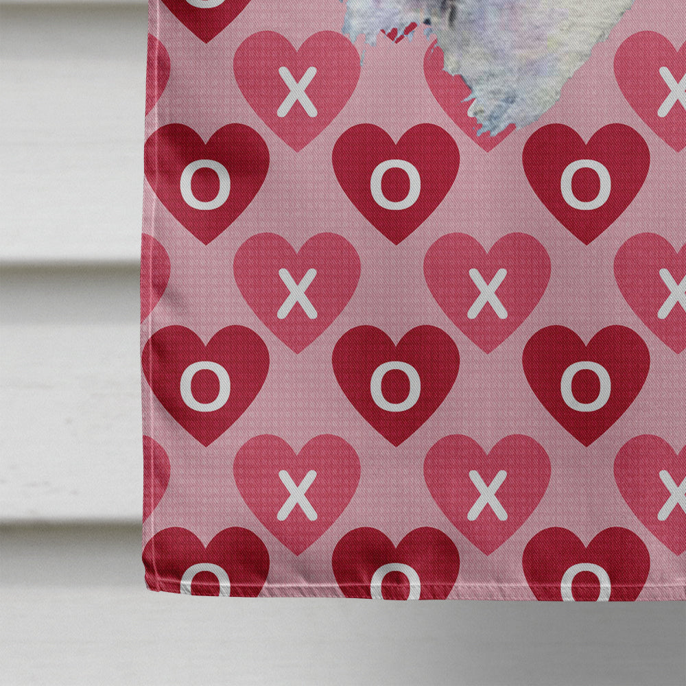 Fox Terrier Hearts Love and Valentine's Day Portrait House Flag 28x40 Porch Sleeve Pole Decorative Outside Yard Banner Artwork Wall Hanging, Polyester
