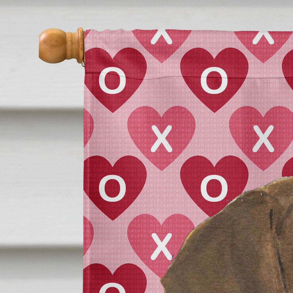 Doberman Hearts Love and Valentine's Day Portrait House Flag 28x40 Porch Sleeve Pole Decorative Outside Yard Banner Artwork Wall Hanging, Polyester