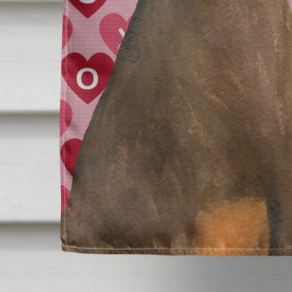 Doberman Hearts Love and Valentine's Day Portrait House Flag 28x40 Porch Sleeve Pole Decorative Outside Yard Banner Artwork Wall Hanging, Polyester
