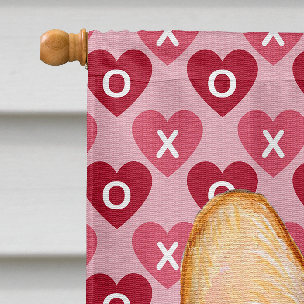 Corgi Hearts Love and Valentine's Day Portrait House Flag 28x40 Porch Sleeve Pole Decorative Outside Yard Banner Artwork Wall Hanging, Polyester