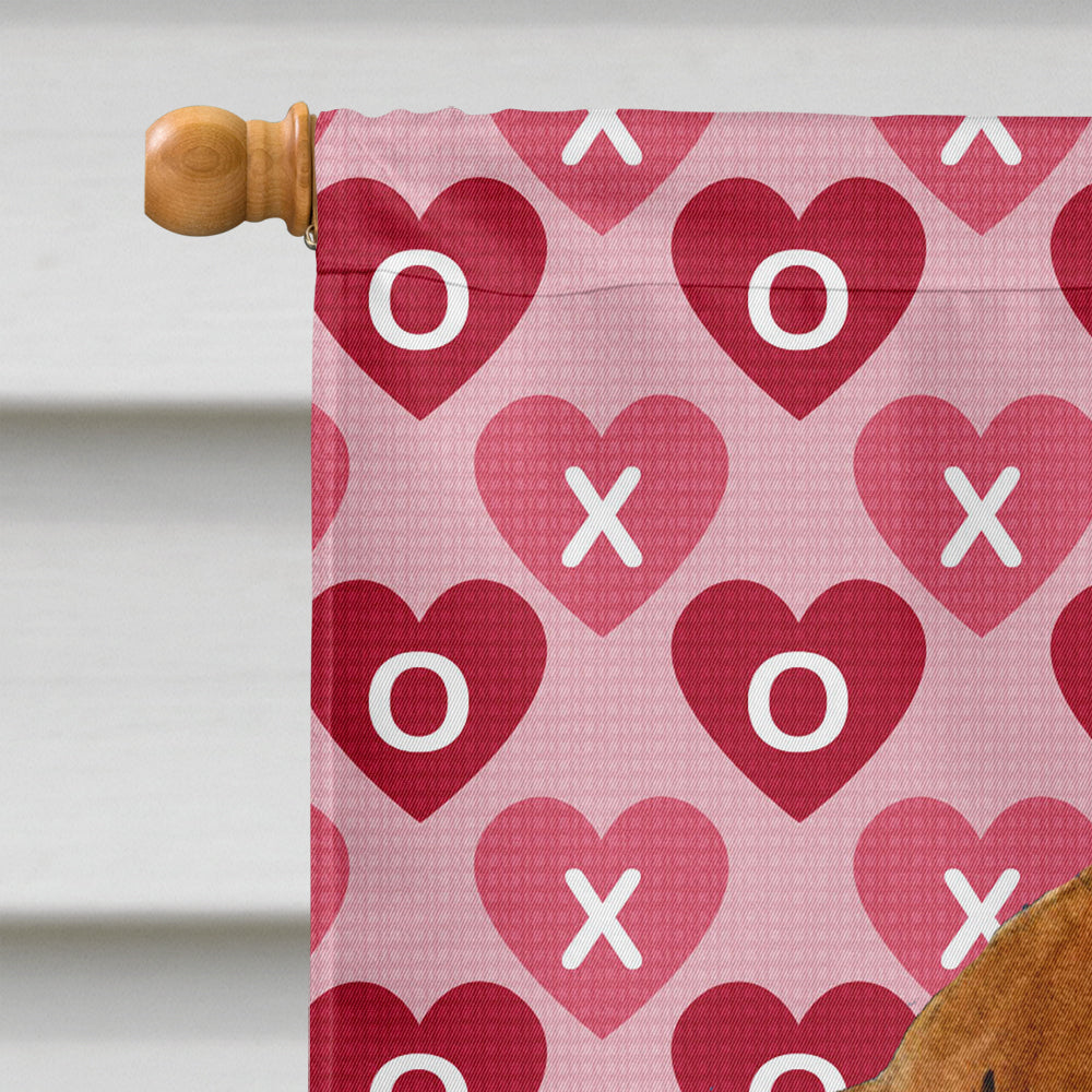 Dachshund Hearts Love and Valentine's Day Portrait House Flag 28x40 Porch Sleeve Pole Decorative Outside Yard Banner Artwork Wall Hanging, Polyester