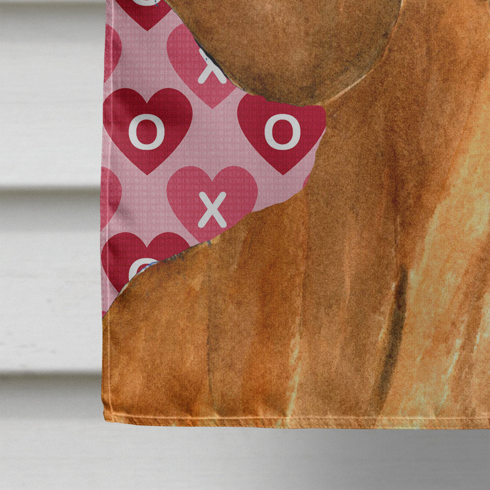 Dachshund Hearts Love and Valentine's Day Portrait House Flag 28x40 Porch Sleeve Pole Decorative Outside Yard Banner Artwork Wall Hanging, Polyester