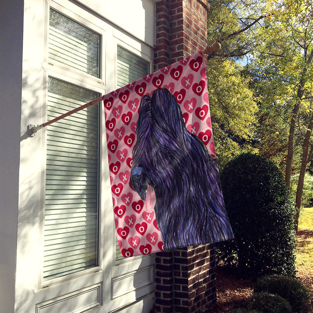 Briard Hearts and Love House Flag 28x40 Porch Sleeve Pole Decorative Outside Yard Banner Artwork Wall Hanging, Polyester