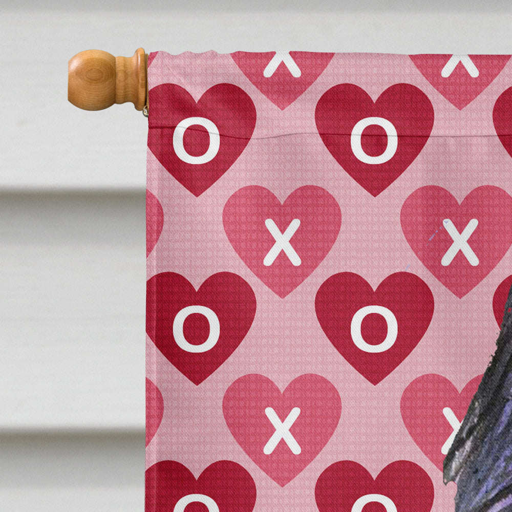 Briard Hearts and Love House Flag 28x40 Porch Sleeve Pole Decorative Outside Yard Banner Artwork Wall Hanging, Polyester