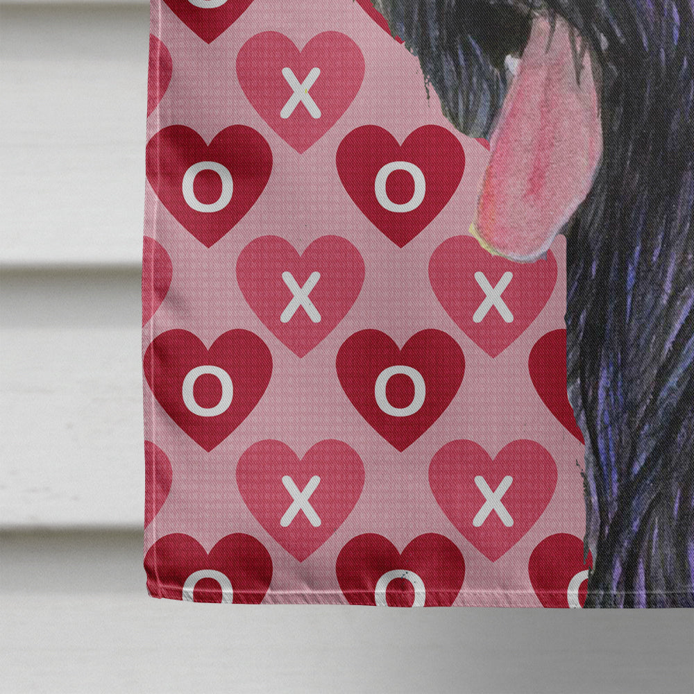 Briard Hearts and Love House Flag 28x40 Porch Sleeve Pole Decorative Outside Yard Banner Artwork Wall Hanging, Polyester