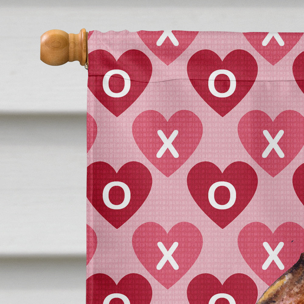 Brussels Griffon Hearts Love and Valentine's Day Portrait House Flag 28x40 Porch Sleeve Pole Decorative Outside Yard Banner Artwork Wall Hanging, Polyester