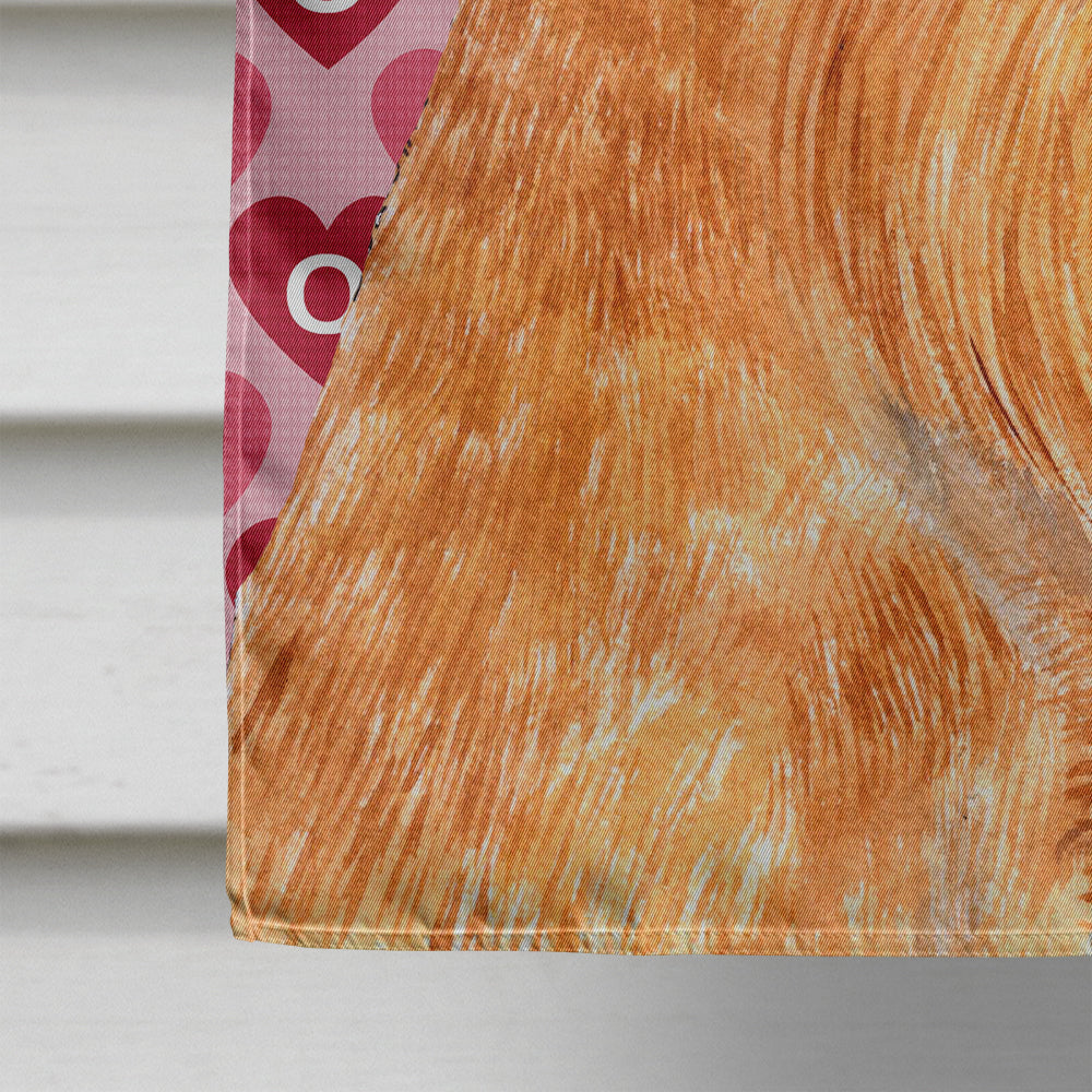 Brussels Griffon Hearts Love and Valentine's Day Portrait House Flag 28x40 Porch Sleeve Pole Decorative Outside Yard Banner Artwork Wall Hanging, Polyester