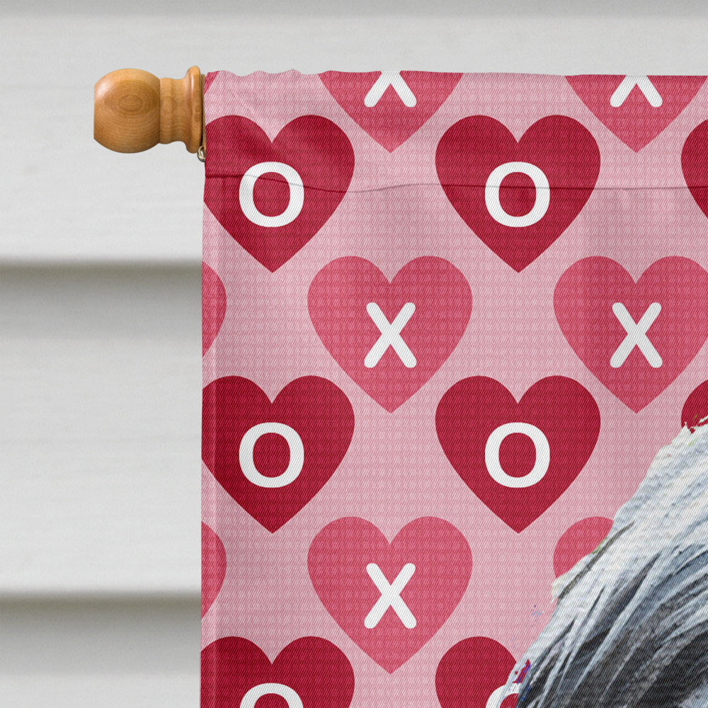Bearded Collie Hearts Love and Valentine's Day Portrait House Flag 28x40 Porch Sleeve Pole Decorative Outside Yard Banner Artwork Wall Hanging, Polyester