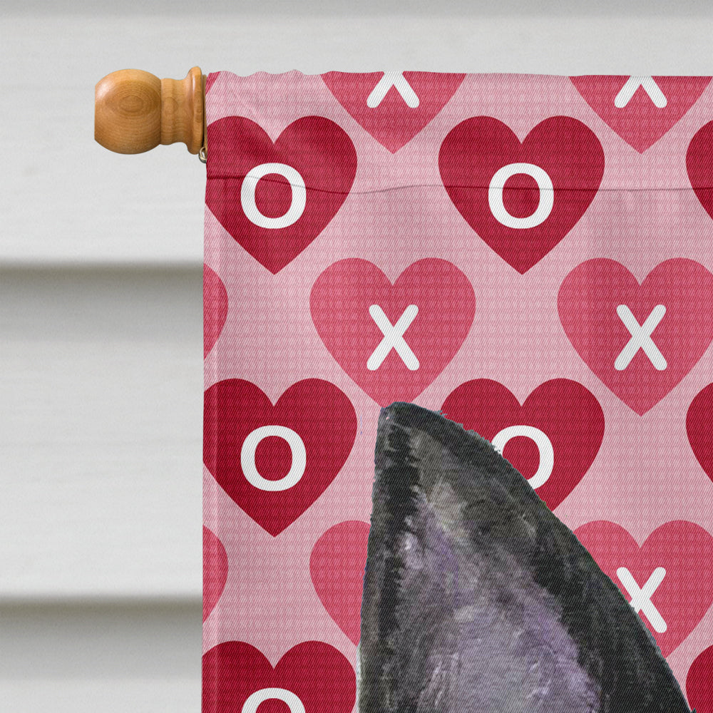 Australian Kelpie Hearts Love Valentine's Day House Flag 28x40 Porch Sleeve Pole Decorative Outside Yard Banner Artwork Wall Hanging, Polyester