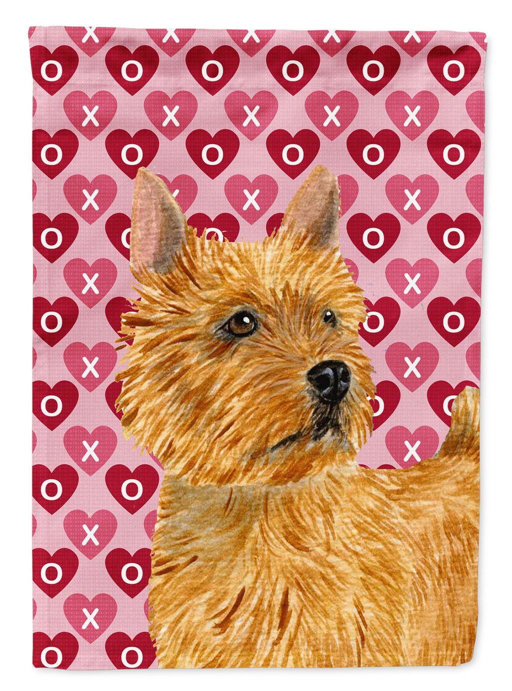 Norwich Terrier Hearts Love and Valentine's Day Portrait House Flag 28x40 Porch Sleeve Pole Decorative Outside Yard Banner Artwork Wall Hanging, Polyester