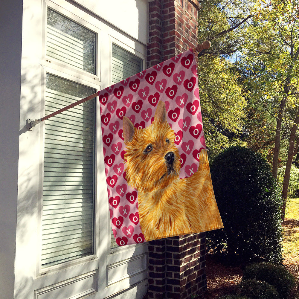 Norwich Terrier Hearts Love and Valentine's Day Portrait House Flag 28x40 Porch Sleeve Pole Decorative Outside Yard Banner Artwork Wall Hanging, Polyester