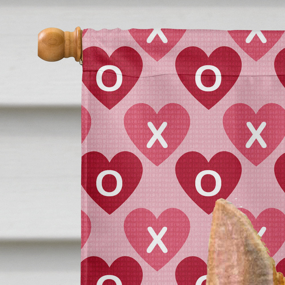 Norwich Terrier Hearts Love and Valentine's Day Portrait House Flag 28x40 Porch Sleeve Pole Decorative Outside Yard Banner Artwork Wall Hanging, Polyester