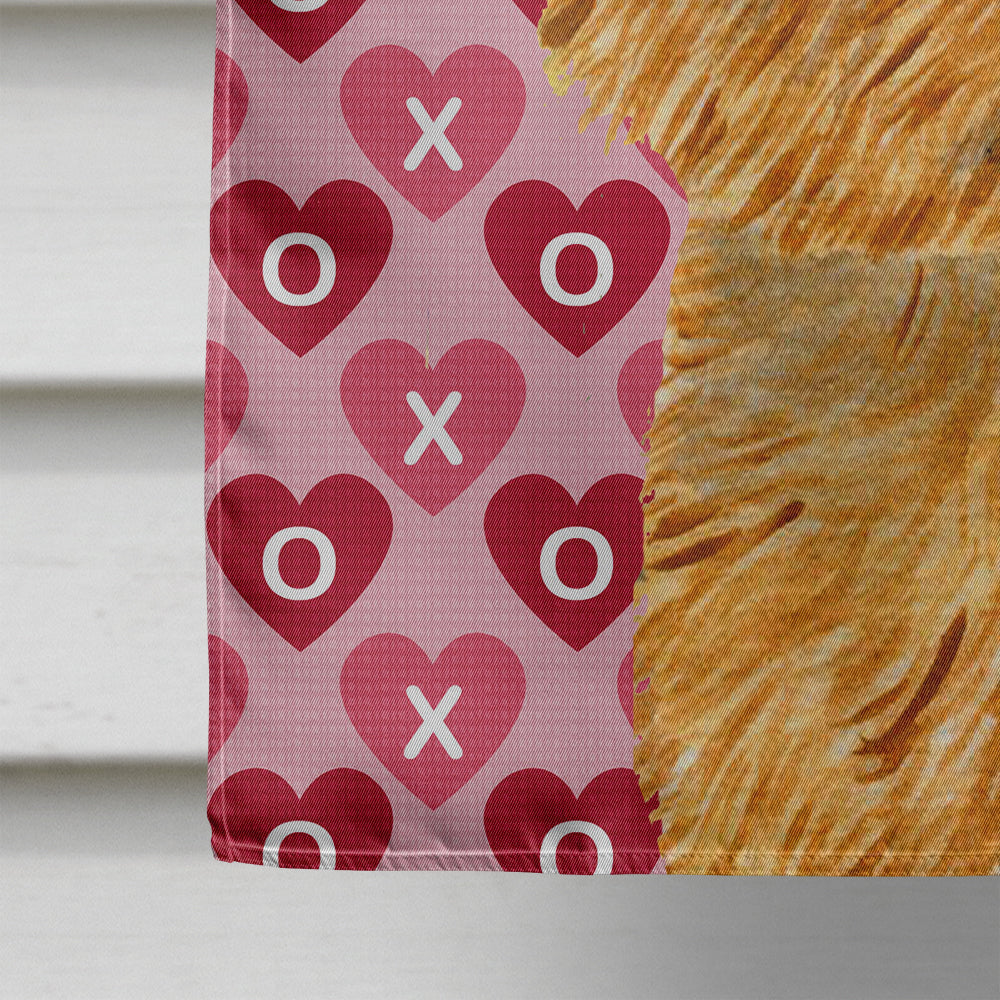 Norwich Terrier Hearts Love and Valentine's Day Portrait House Flag 28x40 Porch Sleeve Pole Decorative Outside Yard Banner Artwork Wall Hanging, Polyester