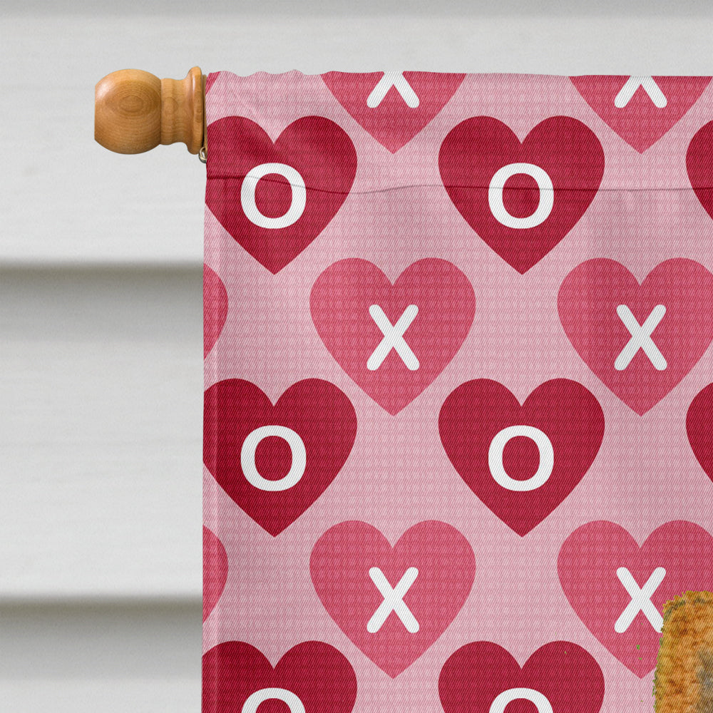 Chow Chow Hearts Love and Valentine's Day Portrait House Flag 28x40 Porch Sleeve Pole Decorative Outside Yard Banner Artwork Wall Hanging, Polyester