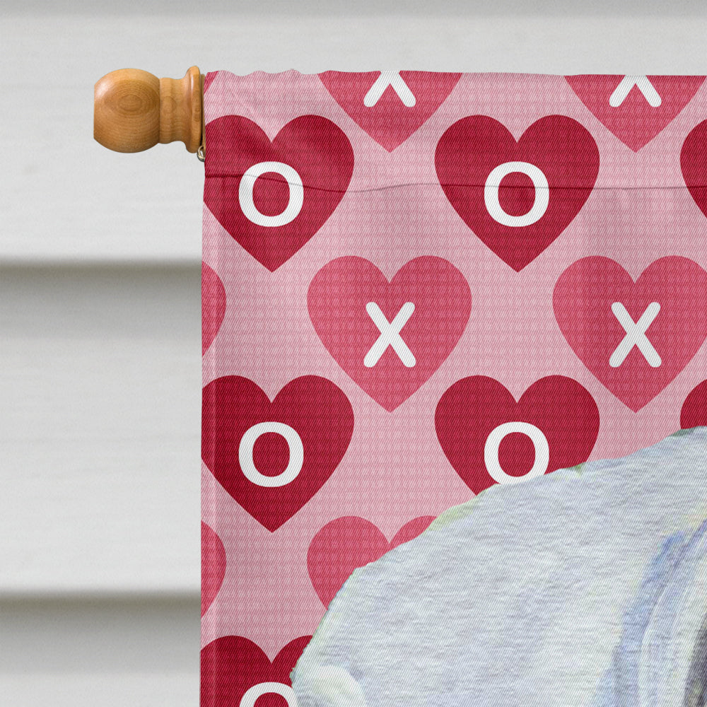 Boxer Hearts Love and Valentine's Day Portrait House Flag 28x40 Porch Sleeve Pole Decorative Outside Yard Banner Artwork Wall Hanging, Polyester