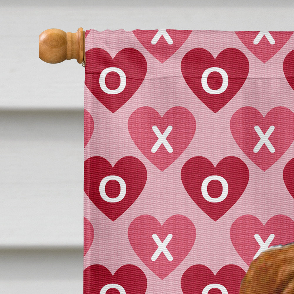 Sussex Spaniel Hearts Love Valentine's Day House Flag 28x40 Porch Sleeve Pole Decorative Outside Yard Banner Artwork Wall Hanging, Polyester