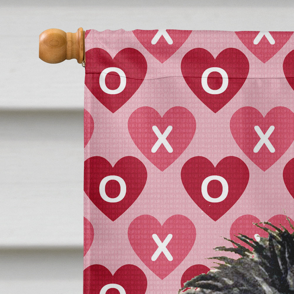 Affenpinscher Hearts Love and Valentine's Day Portrait House Flag 28x40 Porch Sleeve Pole Decorative Outside Yard Banner Artwork Wall Hanging, Polyester