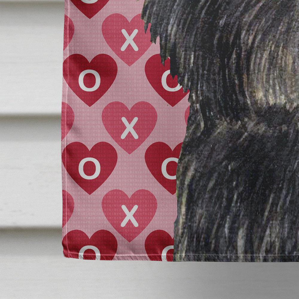 Affenpinscher Hearts Love and Valentine's Day Portrait House Flag 28x40 Porch Sleeve Pole Decorative Outside Yard Banner Artwork Wall Hanging, Polyester