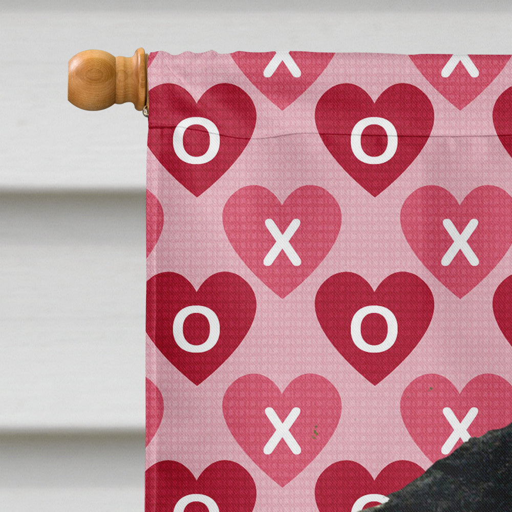 Gordon Setter Hearts Love and Valentine's Day Portrait House Flag 28x40 Porch Sleeve Pole Decorative Outside Yard Banner Artwork Wall Hanging, Polyester