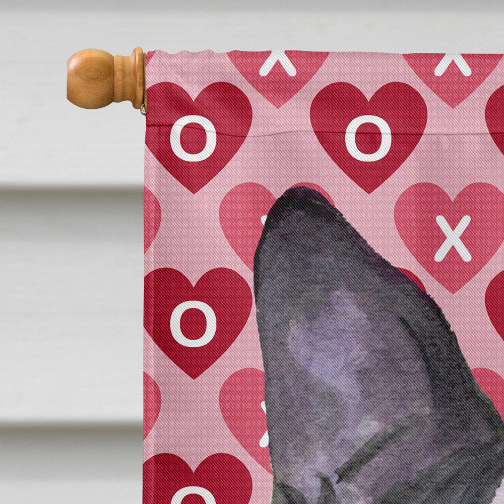 Boston Terrier Hearts Love Valentine's Day House Flag 28x40 Porch Sleeve Pole Decorative Outside Yard Banner Artwork Wall Hanging, Polyester