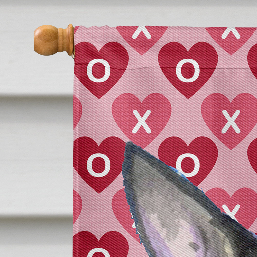 Chihuahua Hearts Love and Valentine's Day Portrait House Flag 28x40 Porch Sleeve Pole Decorative Outside Yard Banner Artwork Wall Hanging, Polyester
