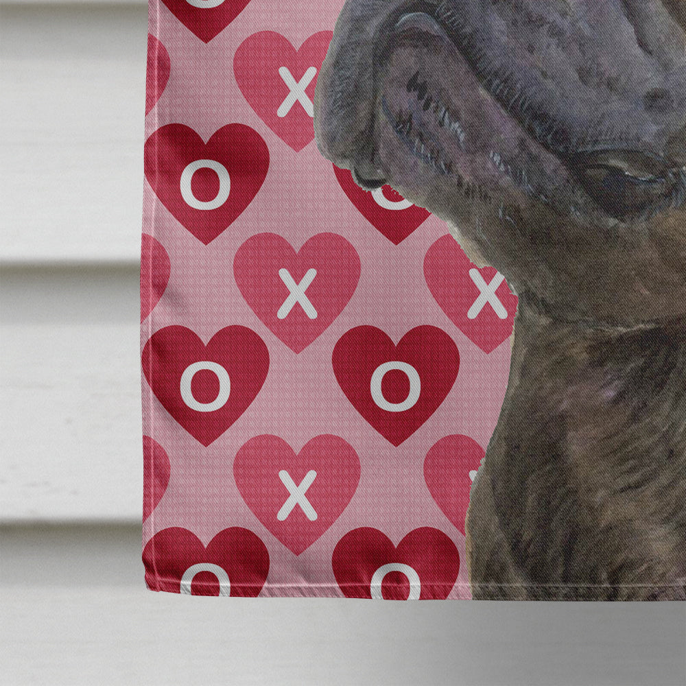 French Bulldog Hearts Love and Valentine's Day Portrait House Flag 28x40 Porch Sleeve Pole Decorative Outside Yard Banner Artwork Wall Hanging, Polyester