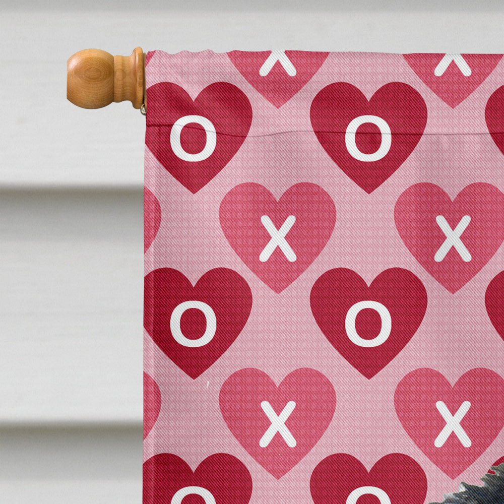 Akita Hearts Love and Valentine's Day Portrait House Flag 28x40 Porch Sleeve Pole Decorative Outside Yard Banner Artwork Wall Hanging, Polyester