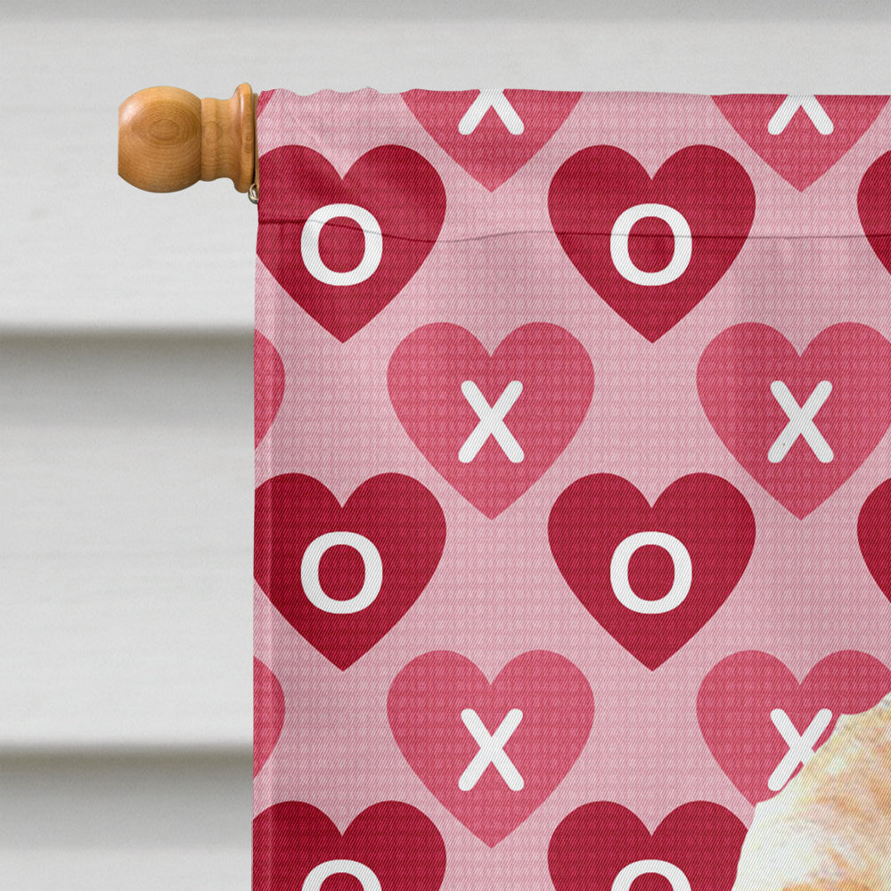 Buff Cocker Spaniel Hearts Love Valentine's Day House Flag 28x40 Porch Sleeve Pole Decorative Outside Yard Banner Artwork Wall Hanging, Polyester