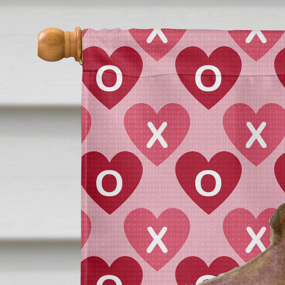 Field Spaniel Hearts Love and Valentine's Day Portrait House Flag 28x40 Porch Sleeve Pole Decorative Outside Yard Banner Artwork Wall Hanging, Polyester