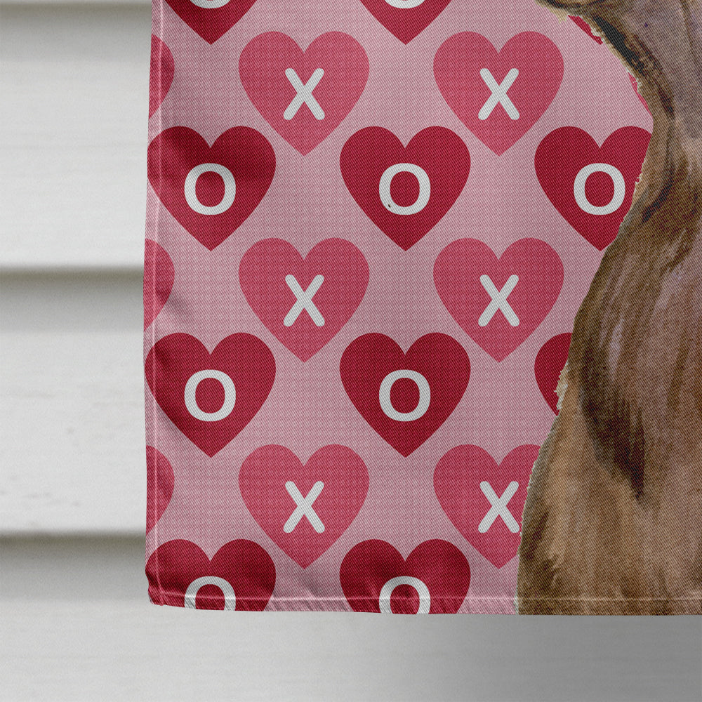Field Spaniel Hearts Love and Valentine's Day Portrait House Flag 28x40 Porch Sleeve Pole Decorative Outside Yard Banner Artwork Wall Hanging, Polyester