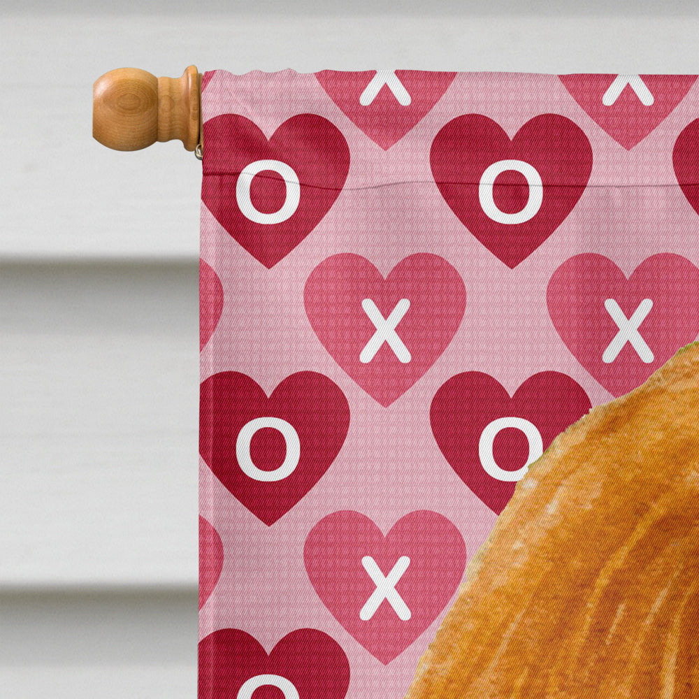 Cavalier Spaniel Hearts Love and Valentine's Day Portrait House Flag 28x40 Porch Sleeve Pole Decorative Outside Yard Banner Artwork Wall Hanging, Polyester