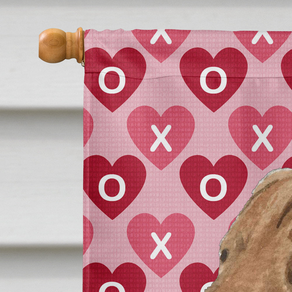 Chesapeake Bay Retriever Hearts Love and Valentine's Day House Flag 28x40 Porch Sleeve Pole Decorative Outside Yard Banner Artwork Wall Hanging, Polyester