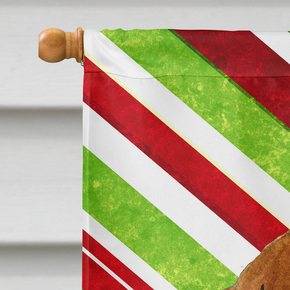 Dachshund Candy Cane Holiday Christmas House Flag 28x40 Porch Sleeve Pole Decorative Outside Yard Banner Artwork Wall Hanging, Polyester