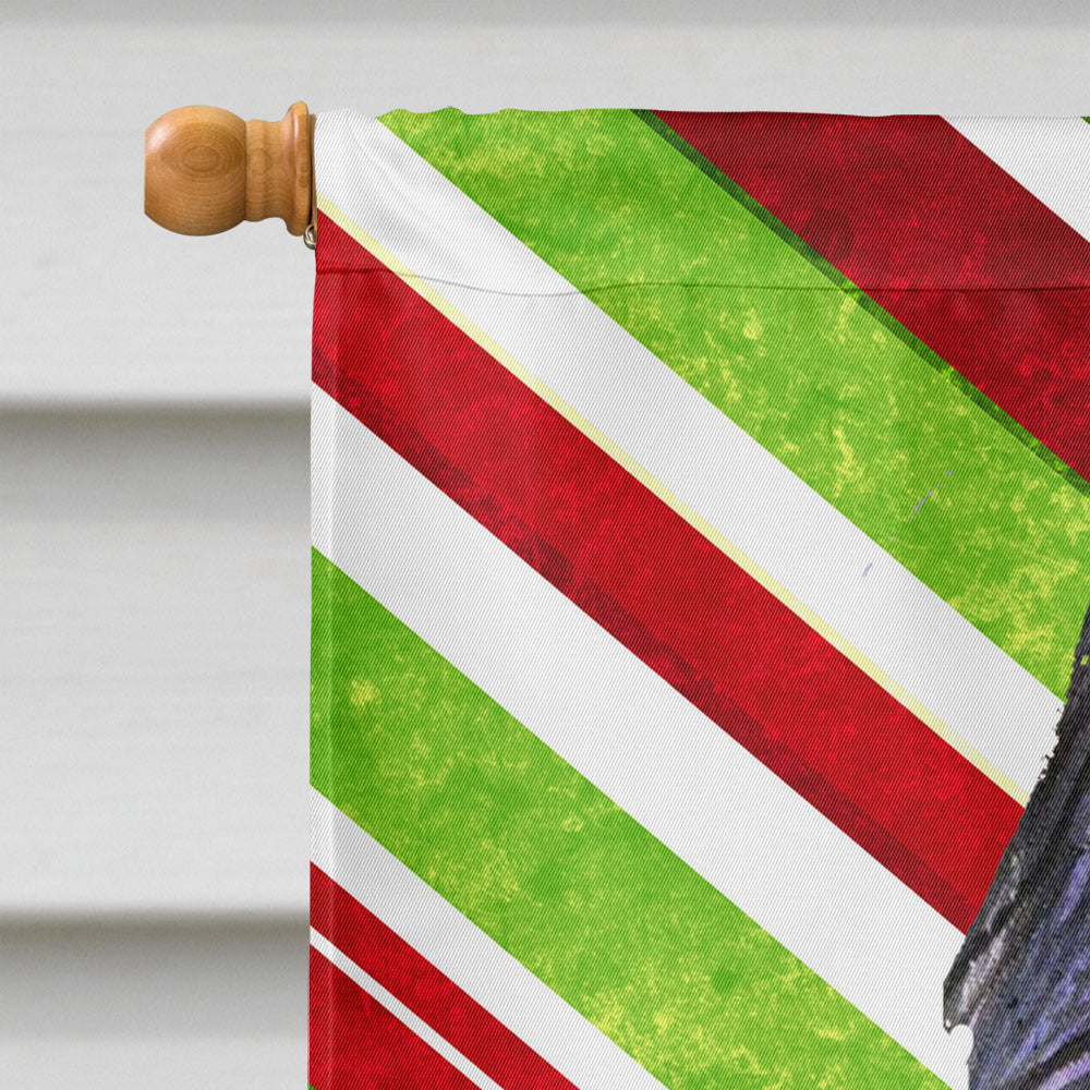 Briard Candy Cane Holiday Christmas House Flag 28x40 Porch Sleeve Pole Decorative Outside Yard Banner Artwork Wall Hanging, Polyester