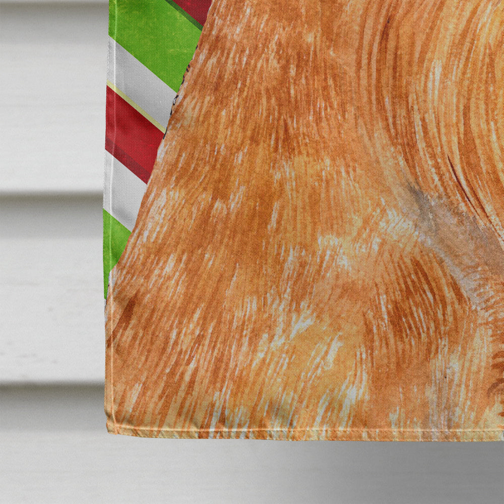 Brussels Griffon Candy Cane Holiday Christmas House Flag 28x40 Porch Sleeve Pole Decorative Outside Yard Banner Artwork Wall Hanging, Polyester