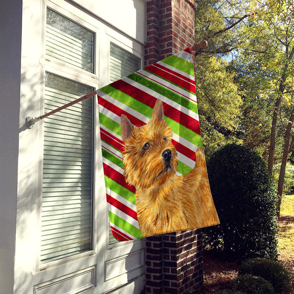 Norwich Terrier Candy Cane Holiday Christmas House Flag 28x40 Porch Sleeve Pole Decorative Outside Yard Banner Artwork Wall Hanging, Polyester